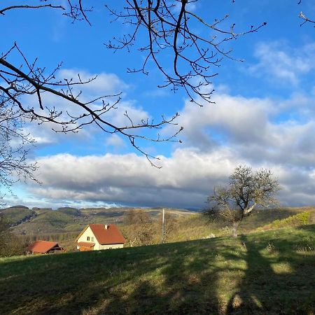 Nature Homestay Trenčín 외부 사진