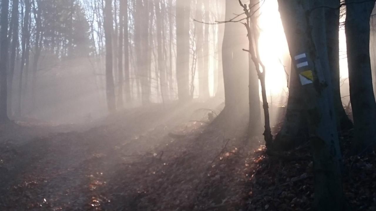 Nature Homestay Trenčín 외부 사진