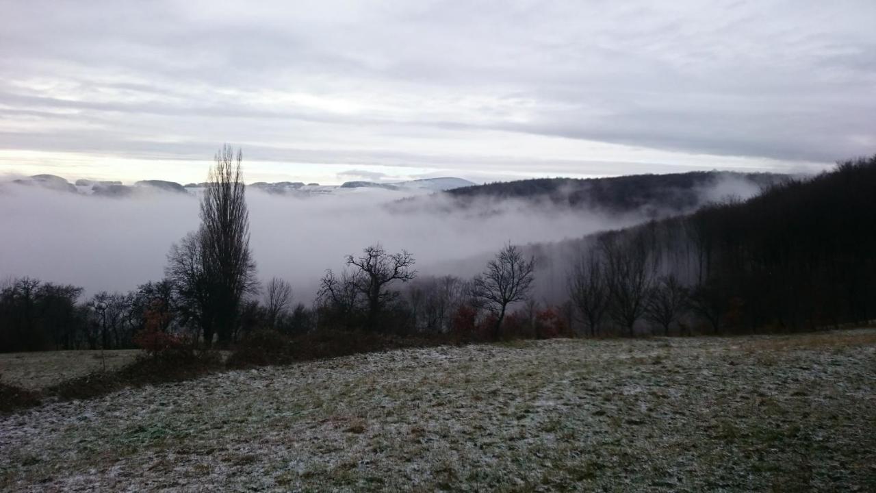 Nature Homestay Trenčín 외부 사진