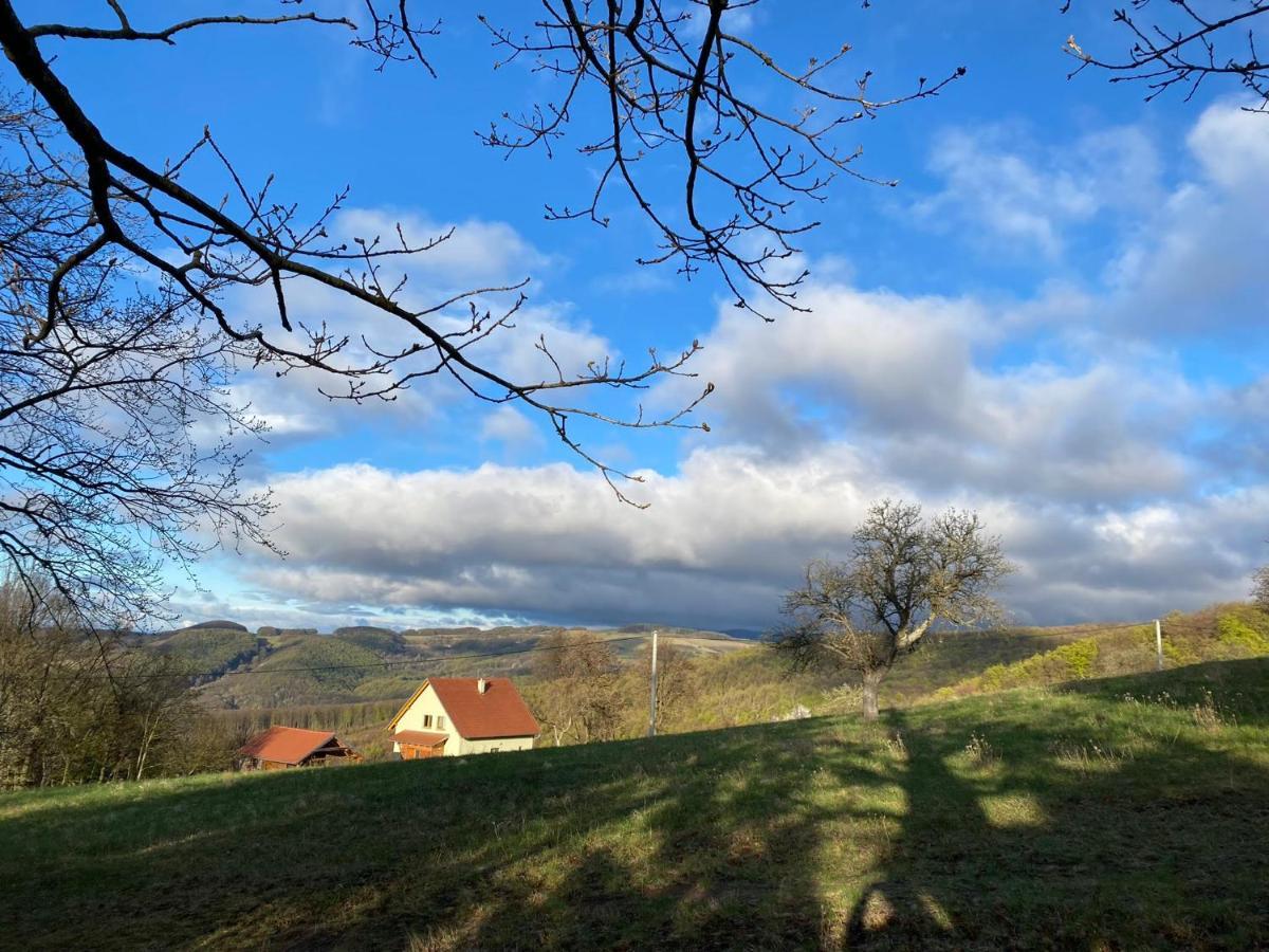 Nature Homestay Trenčín 외부 사진